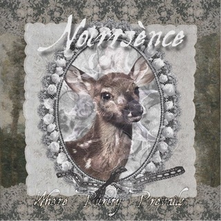 @NOIRRSENCE