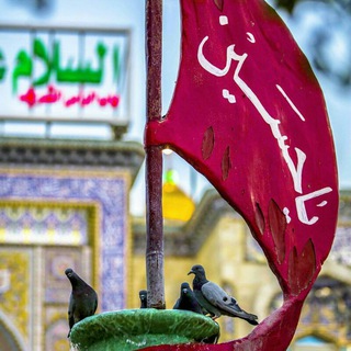 🌷نـ♡ــوکَـرانِ اَباعَبْــدِاللّه🌷