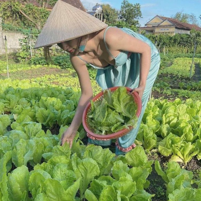 Nông Dân Toàn Quốc