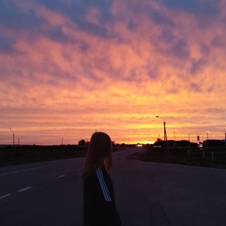 @nose_228