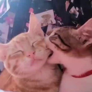 @not_aha