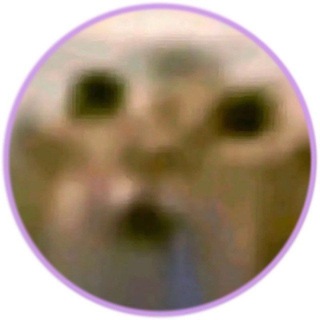@Now_spell