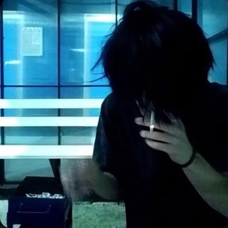 @nqxkvellix