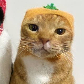 @Nur0FEnN