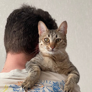 @NVKeyAccountManager