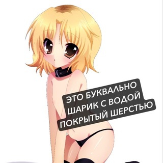 @nyakoci228
