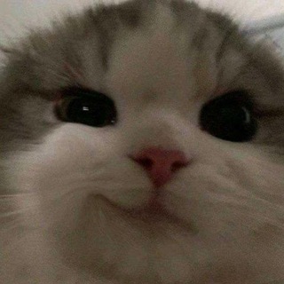 @nyladno38