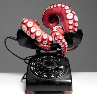 @OctoBot_support_bot