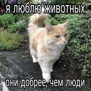 @ODIKS11