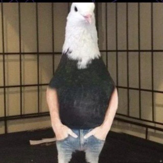 @oejjjk1