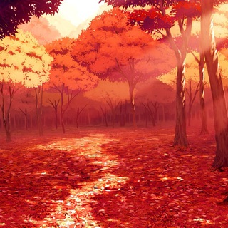 turner🍂