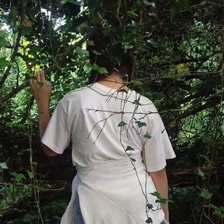 @ogvsp