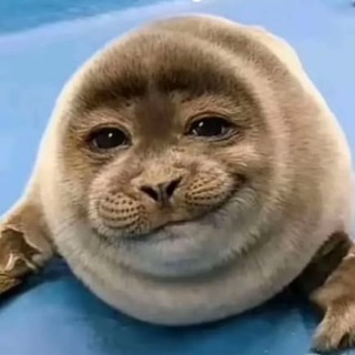 @olenina_olen