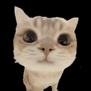 @oo33oo