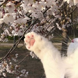 @otz_liz