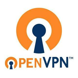گروه پشتیبانی Open VPN