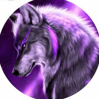 @Ovsyank4n