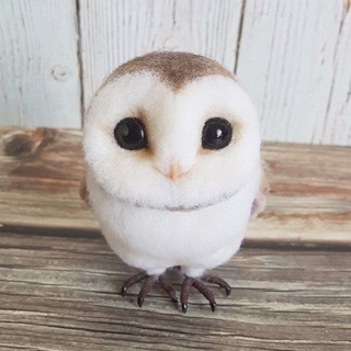 @Owl_cloud