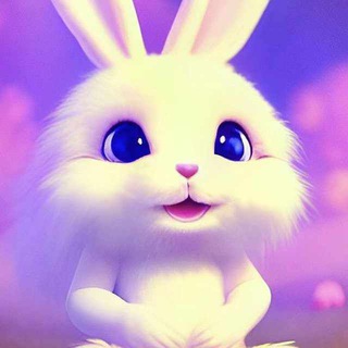 @Owner_RabbitCall
