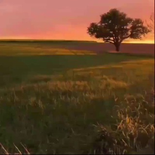 @ownpriroda