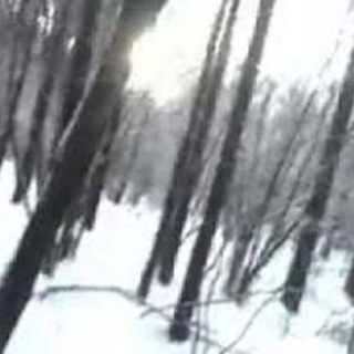 @oxccev