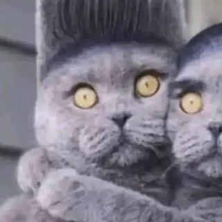 @oxot4XD