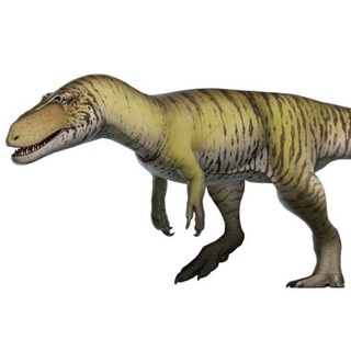 @PaleoZeb007