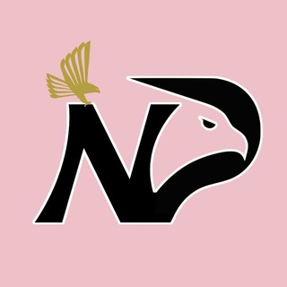 @palermocalcionotizie