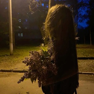 @panda_kdrsh