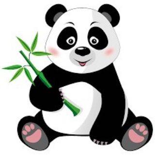 Panda Codes