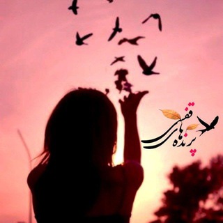 پرنده هاےِ قفسی 🕊