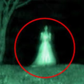 Paranormal Black
