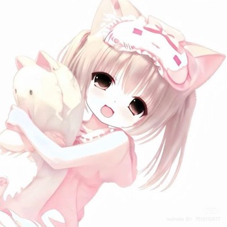 @pddkkss
