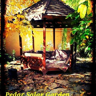 @pedar_sallarr