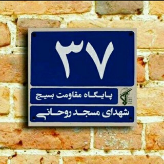 @pelak_37