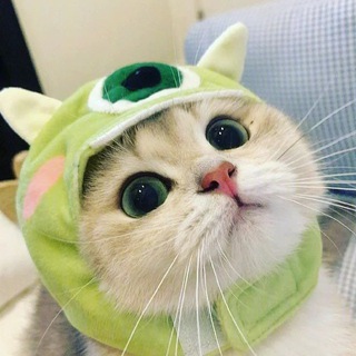 @petph