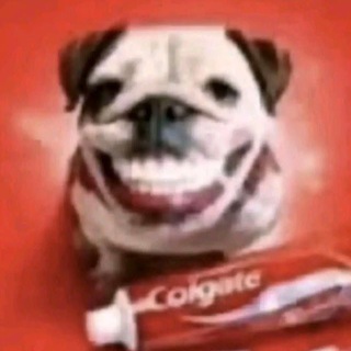 @pharmacists_revolver