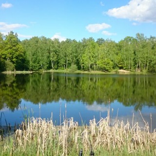 @photodrive