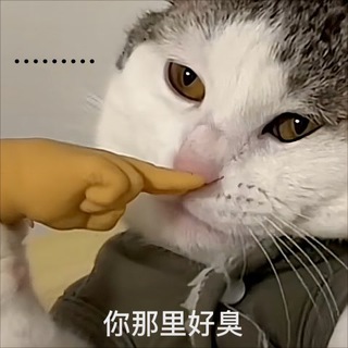 @pi409