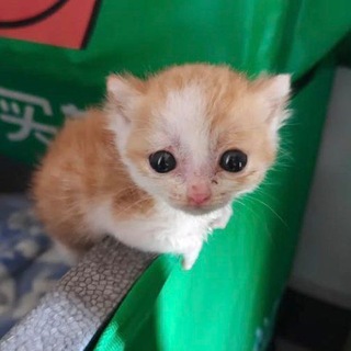 @picmusy