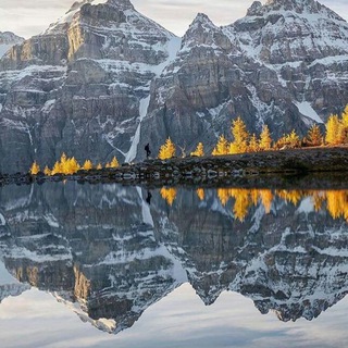 @PicturePerfection