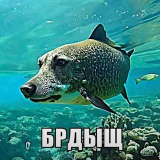 @PiFop