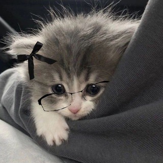 @pilotik_ss