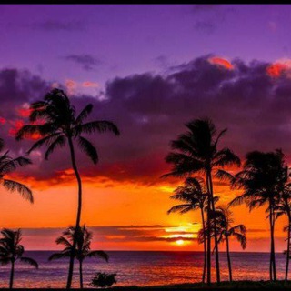 PINAY PARADISE (FREE CHANNEL)🏝️
