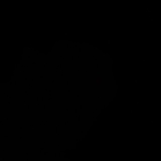 َ