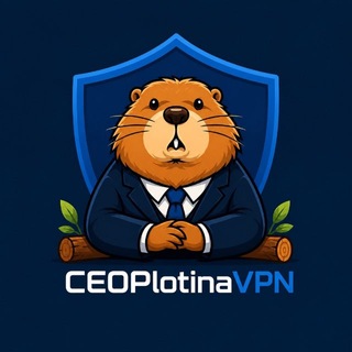 @PlotinaVPN