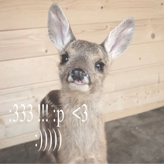 @plush_prince