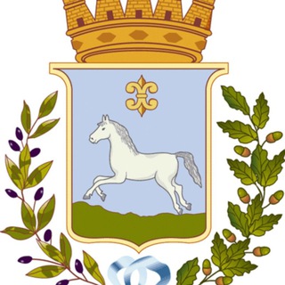 @polizialocalemartinafranca