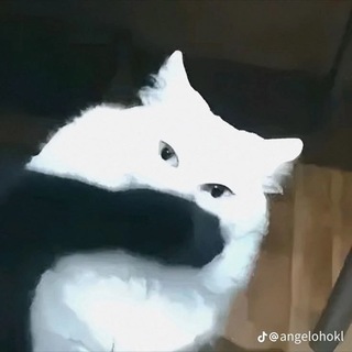 @poltava369