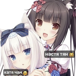 @popushota